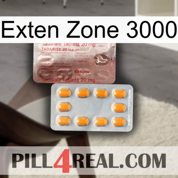 Exten Zone 3000 new13.jpg